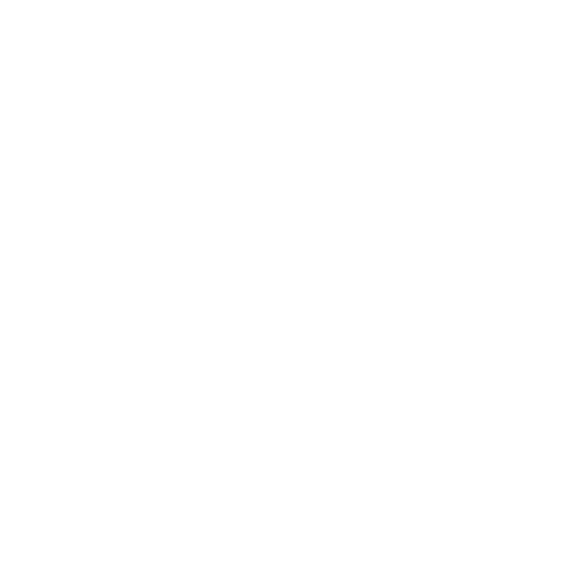 Step-Reno Logo